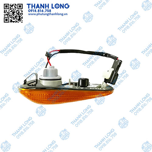 (025) DHONG-1 (3).jpg