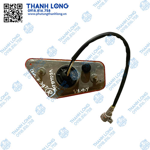 (039R) DVL-024 (2).jpg