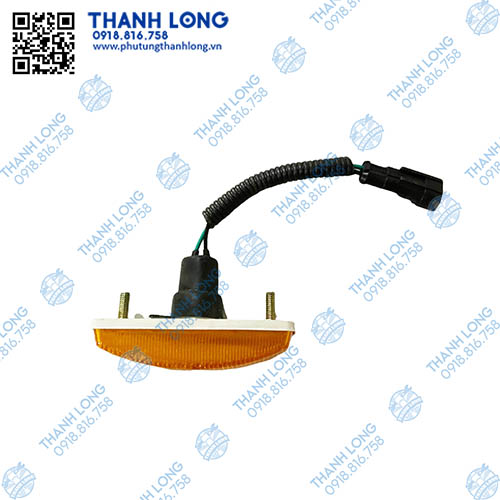 (016) DVL-011 (3).jpg