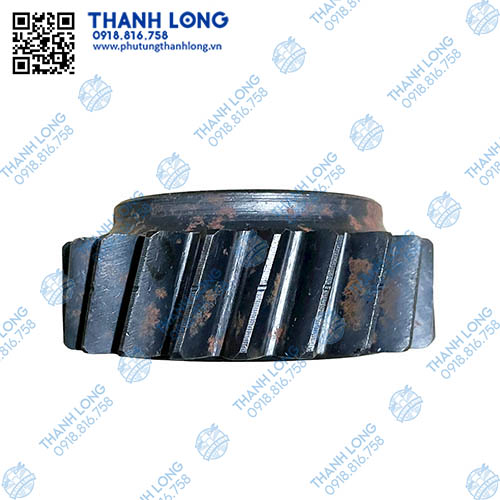 009-PhotoRoom (2).jpg