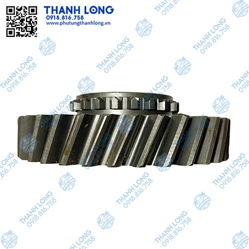 006-PhotoRoom (2).jpg