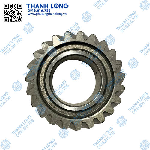 012-PhotoRoom (2).jpg