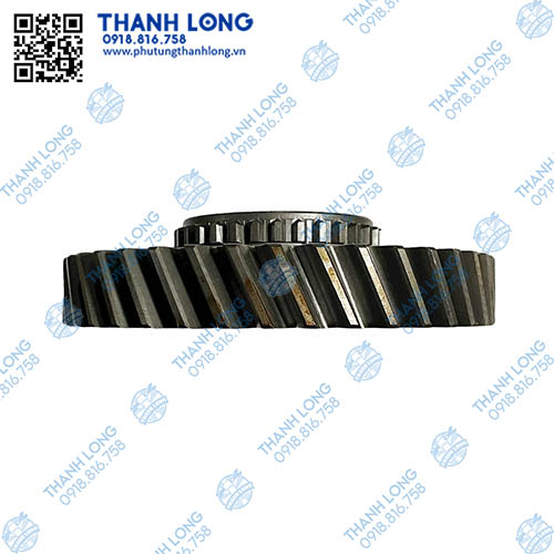 006-PhotoRoom (1).jpg