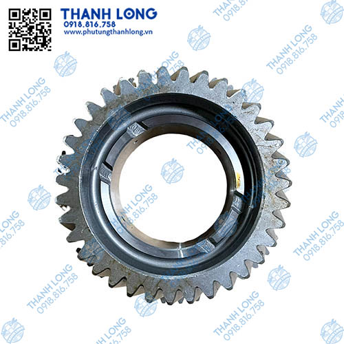 005-PhotoRoom (1).jpg