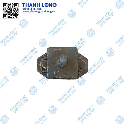 (009) CSHS-001 (3).jpg