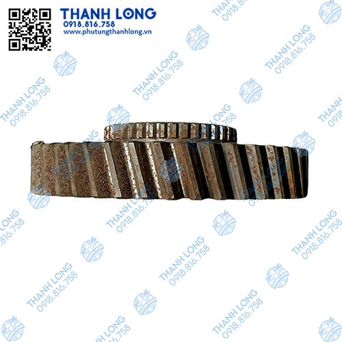 005-PhotoRoom (2).jpg