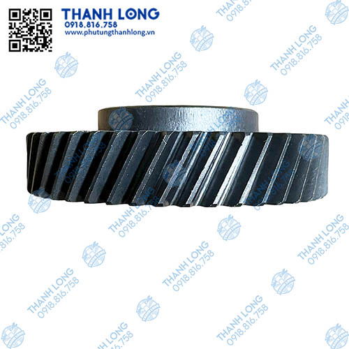 011-PhotoRoom (2).jpg