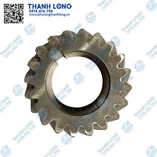 013-PhotoRoom (1).jpg