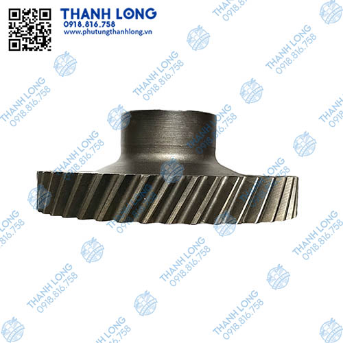 017-PhotoRoom (1).jpg