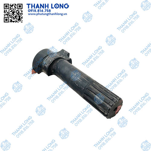 Trục quả đào (MNM: 3501N-041)