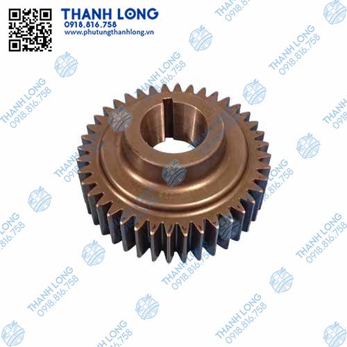 Bánh răng bơm cao áp YC6K6000-1111003, yuchai