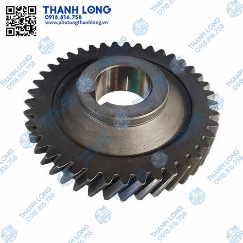 BR Bánh răng  lai 41R,/1700K16-056