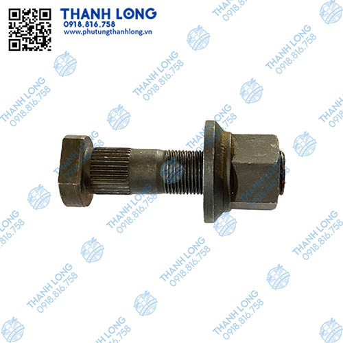 Tắc kê HD đầu bò, 1 tầng