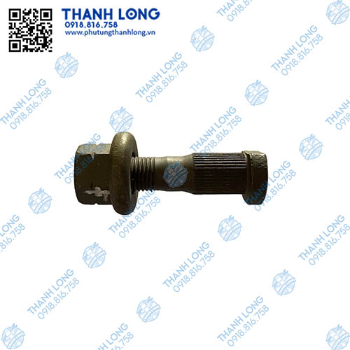 Tắc kê Trung Quốc (LH), 1 tầng