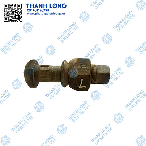 Tắc kê 2 tầng đóng thẳng (LH), 2 tầng