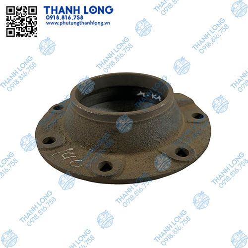 Mặt bích cổ đùm cầu