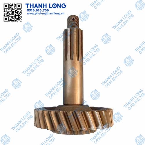 A cơ số phụ 2 cầu 29R 10 then 21 chuột xe CT 2T5