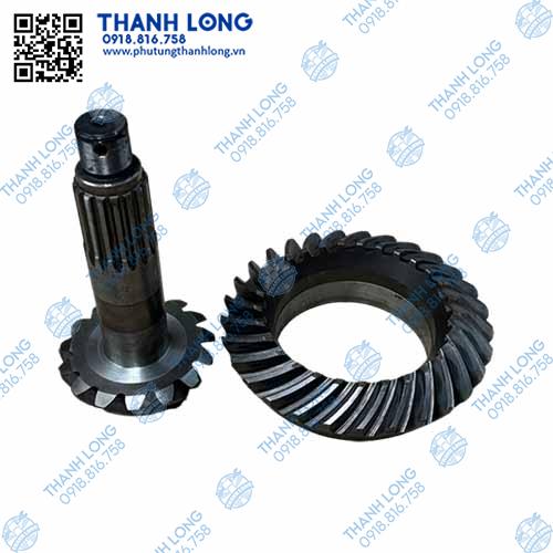 VCQD Vành chậu quả dứa WT2098C-15:29