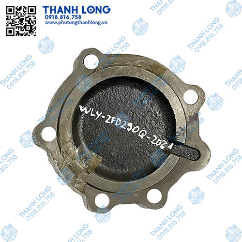 Nắp đậy số phụ WLY-2FD290Q-2021