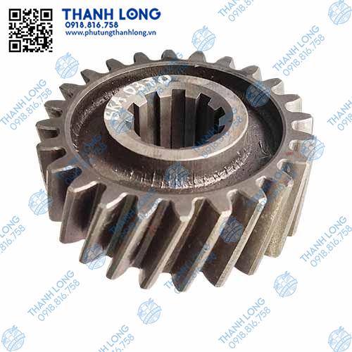 Bánh răng chéo trung gian CA60 - 24rc / 10 then