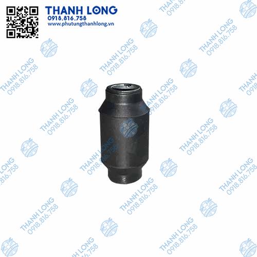 Cao su càng A dưới nhỏ Ranger, Everest 01
-11, O16.3, D33.8, L66.1 (Engi)