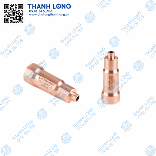Bạc đồng bót kim phun (sam béc) WP12.375N/xe khách TB120 (CREATEK)