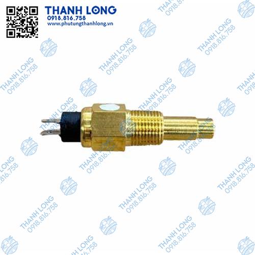 Núm báo nhiệt độ nước 6113BKZ 2 zắc ren phi 17 (Antek)