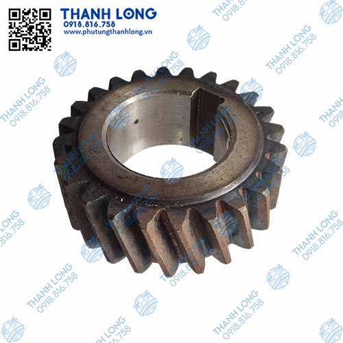 Bánh răng đầu trục cơ YND 485khô ( 24R )