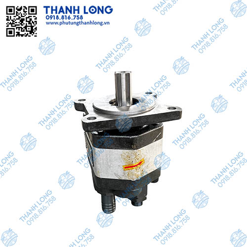Bơm ben 580/6 then hoa (L) lỗ dầu đuôi chất lượng lắp ráp (Antek)