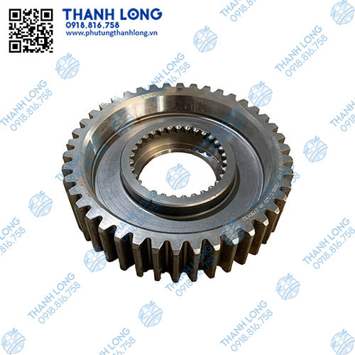 Bánh răng tầng chậm 42R/31R chuột (12JS200T-1707106) (Đ.Phong Cheng Long chính hãng) /
