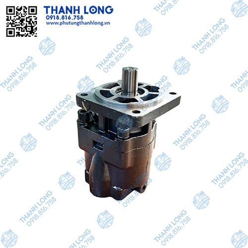 Bơm ben JHP2100H (lỗ ở đuôi) quay trái, sắt 2100, rốn đầu sau, 6 then, hàng cường lực