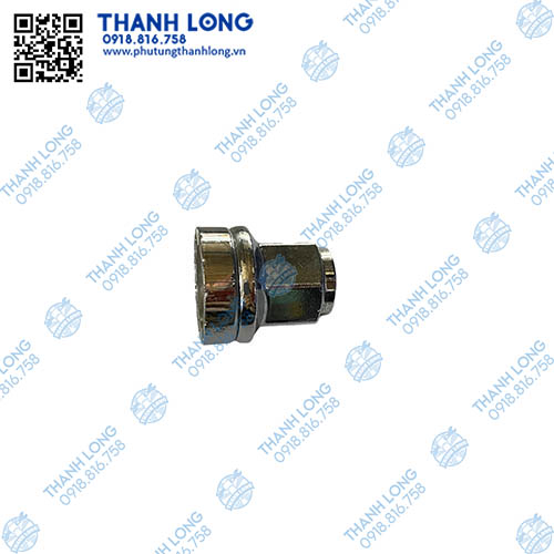 Tán tắc kê Ford Transit