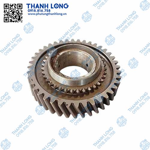 Bánh răng số 5-25 40R/36 chuột phi 50/1312/26/41