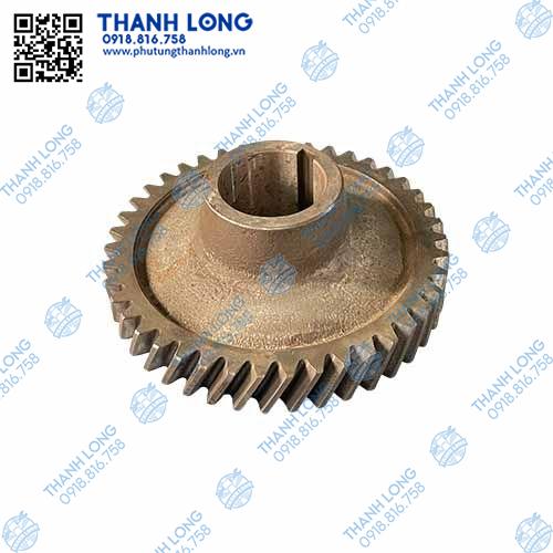 Bánh răng trục dưới số 5 42R có cá 1700A-006