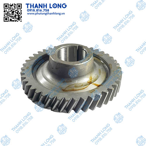 Bánh răng số 5 trục dưới 42R <WLY5T46-2511>