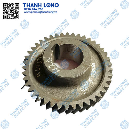 Bánh răng số 5 trục dưới 42Rchéo