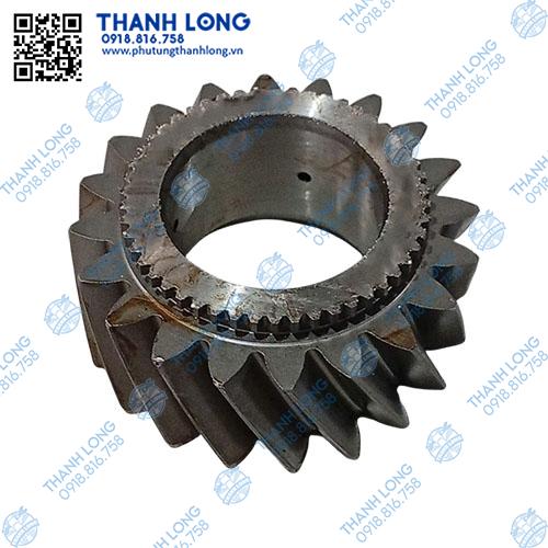 Bánh răng số 6 trục trên 20R. 50 na , WLY6TS55-3611-SYLY